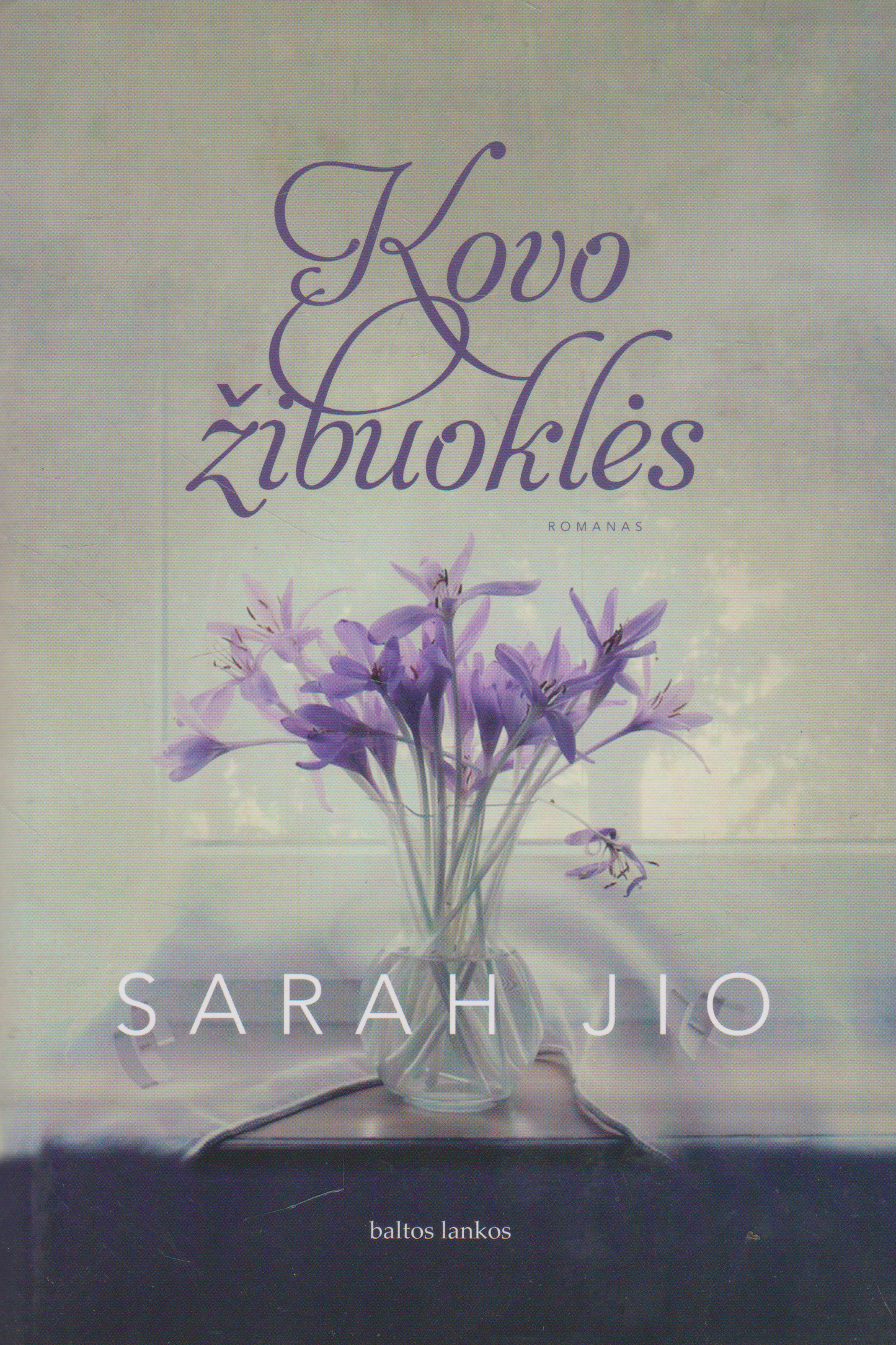 Sarah Jio - Kovo žibuoklės