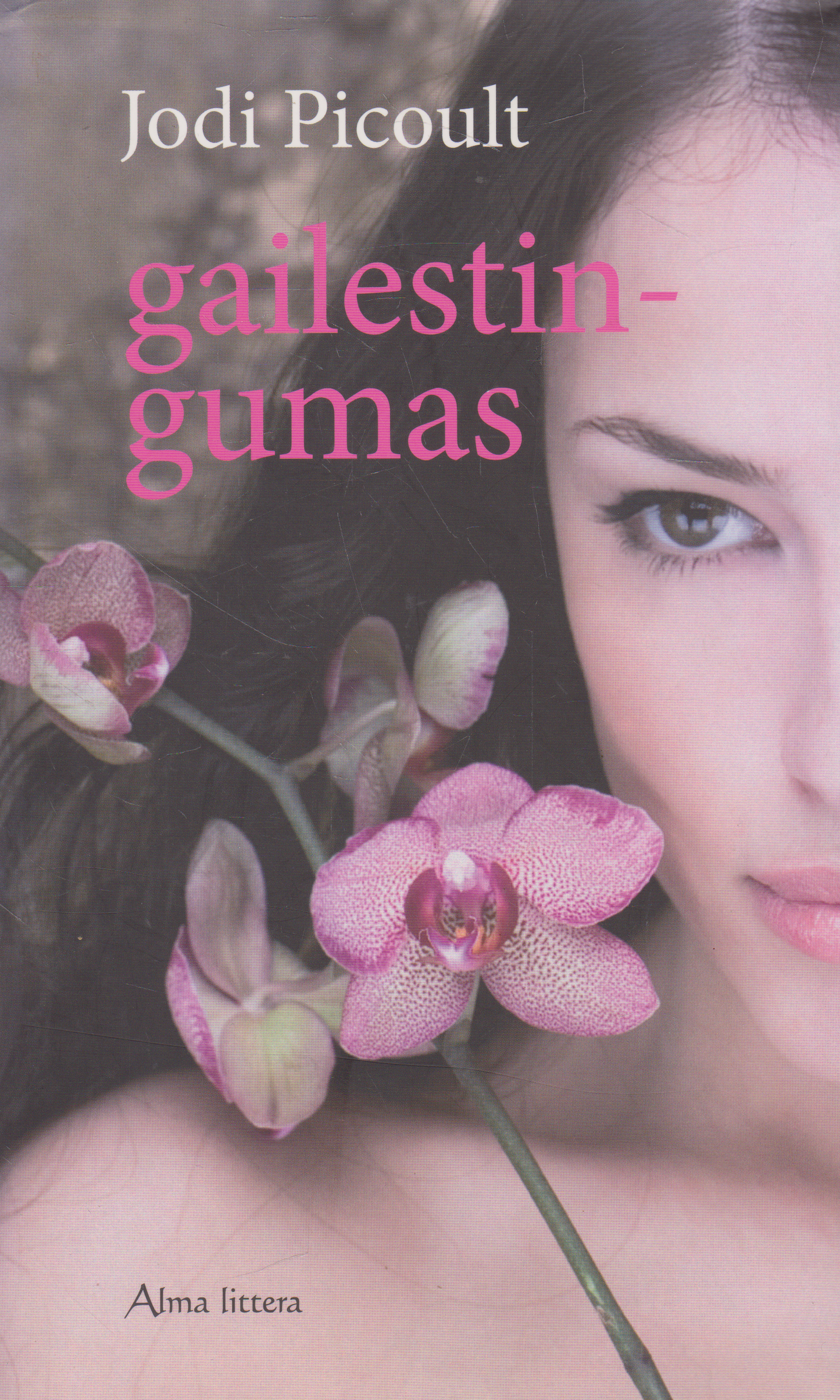 Jodi Picoult - Gailestingumas