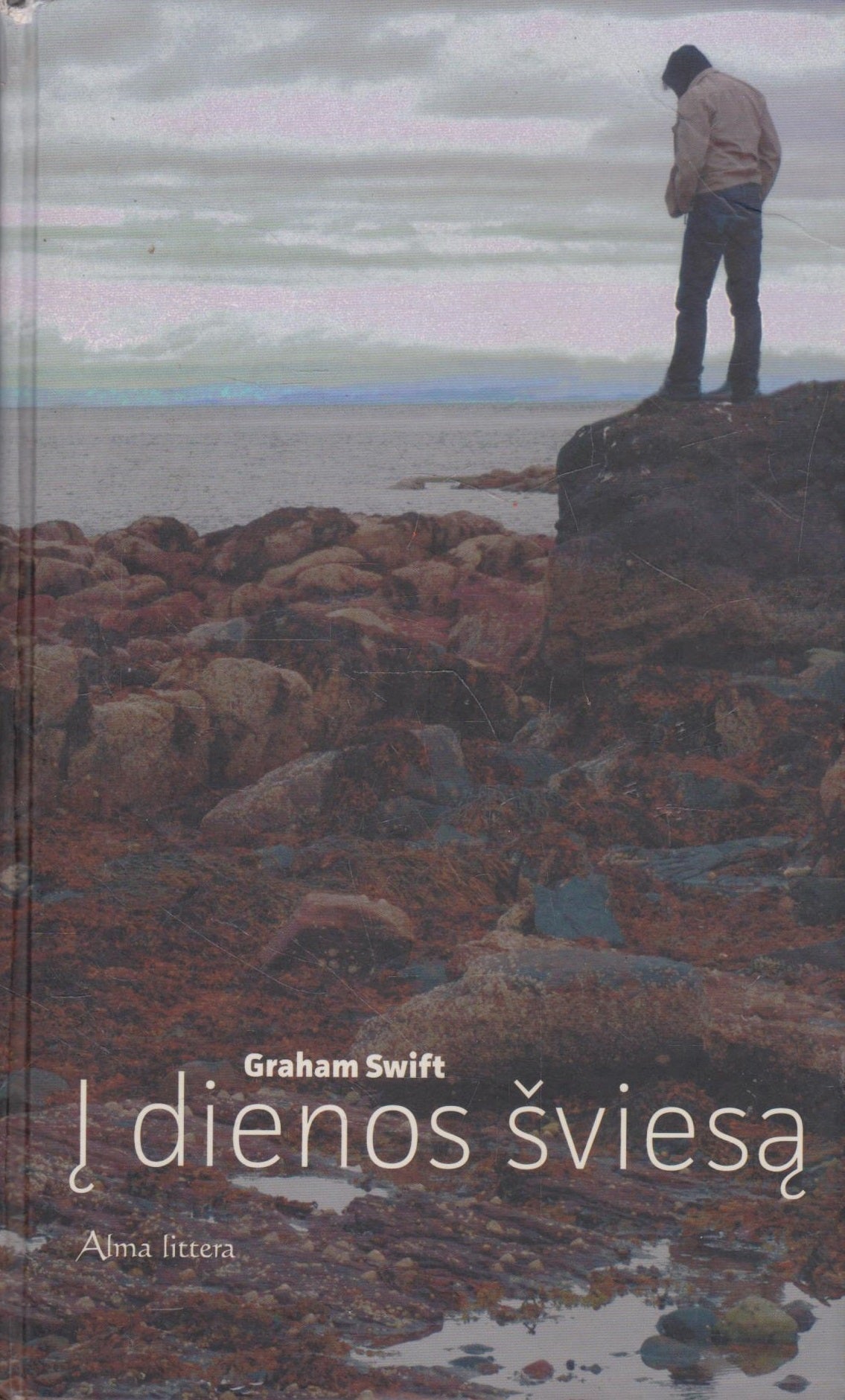 Graham Swift - Į dienos šviesą (žr. būklę)