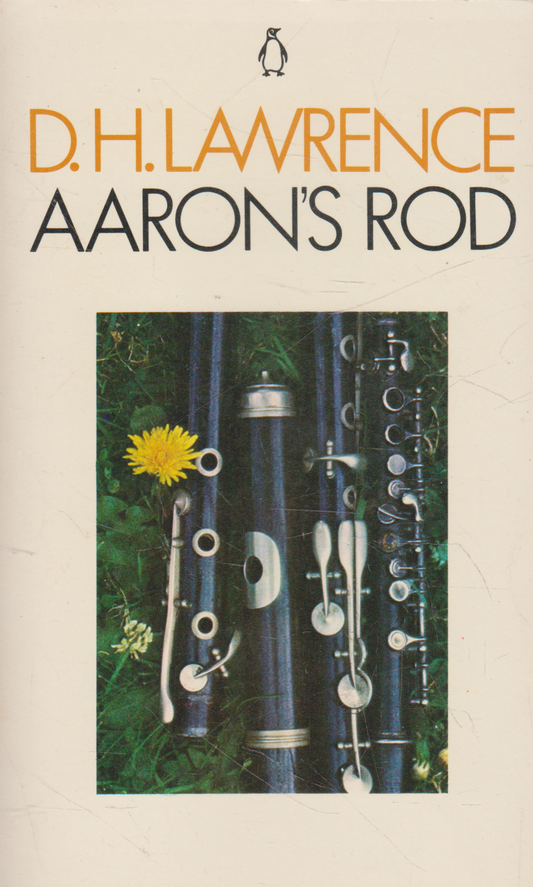 D. H. Lawrence - Aaron's Rod