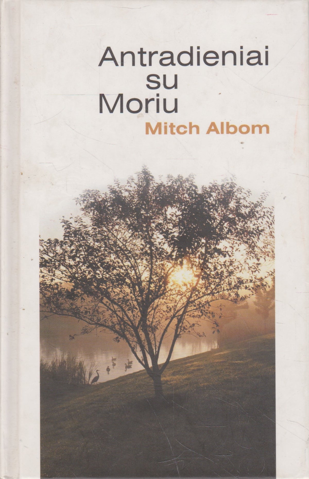 M. Albom - Antradieniai su Moriu