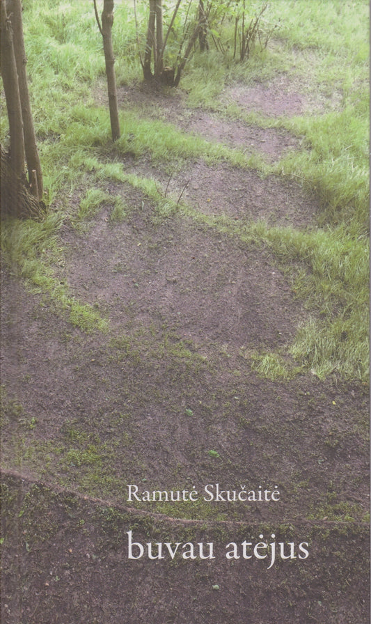 R. Skučaitė - Buvau atėjus