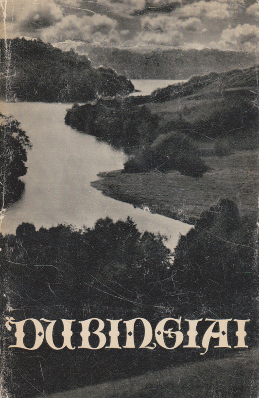 Dubingiai (žr. būklę)