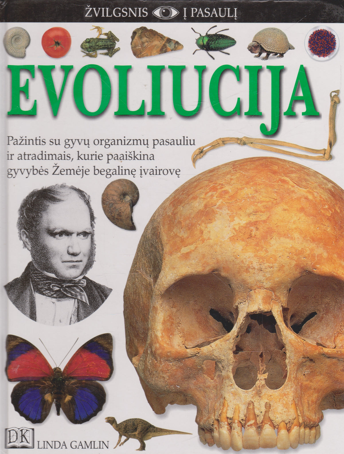 Evoliucija