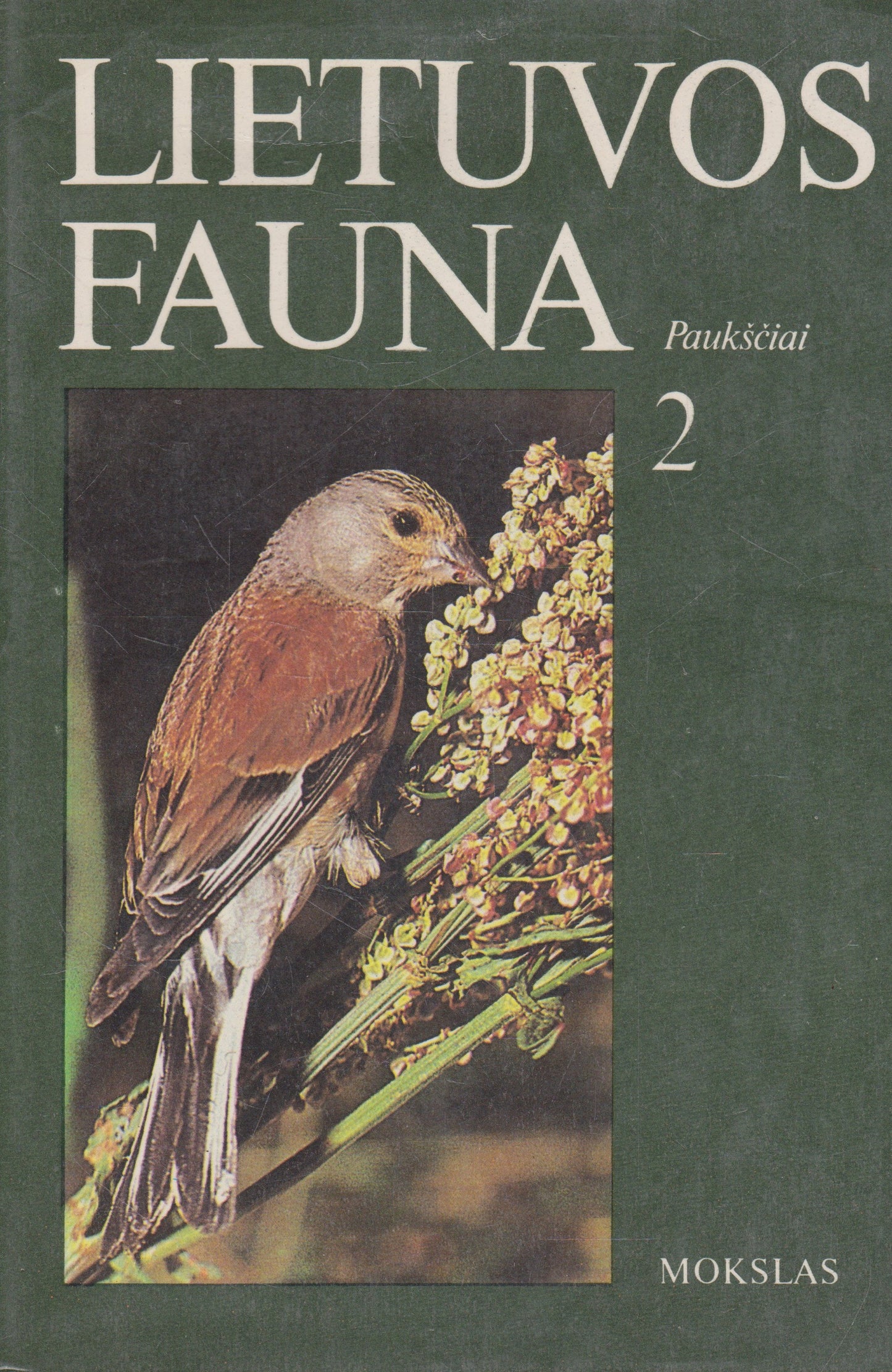 Lietuvos fauna: paukščiai 2