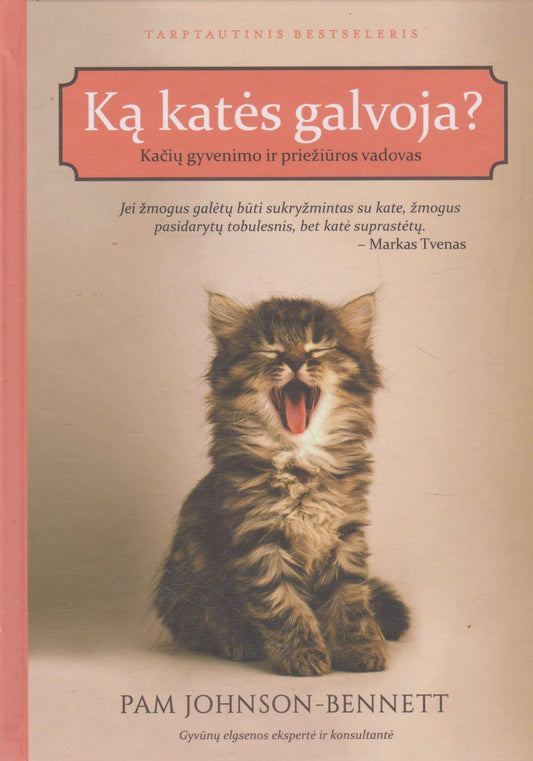 Ką katės galvoja?
