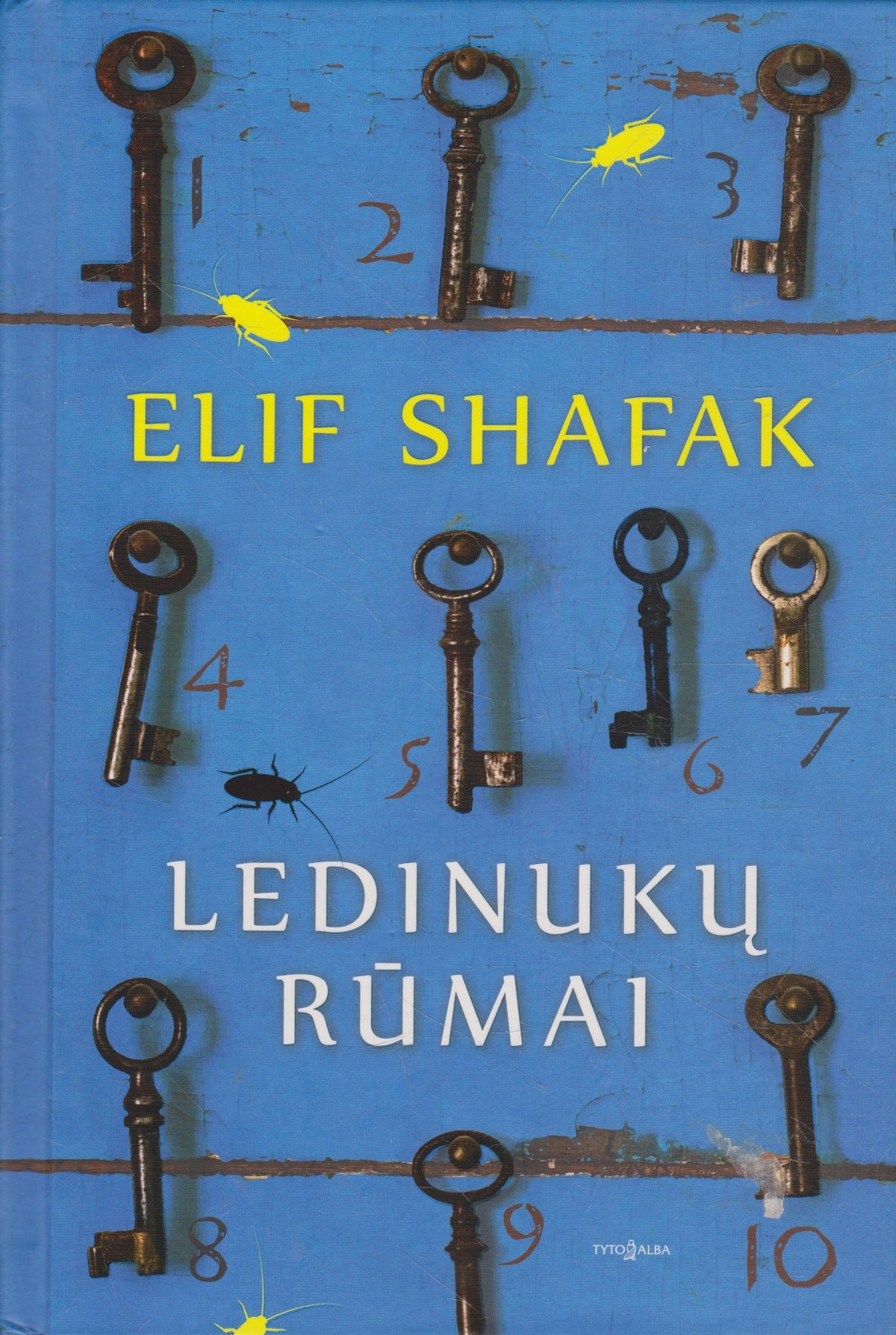 E. Shafak - Ledinukų rūmai