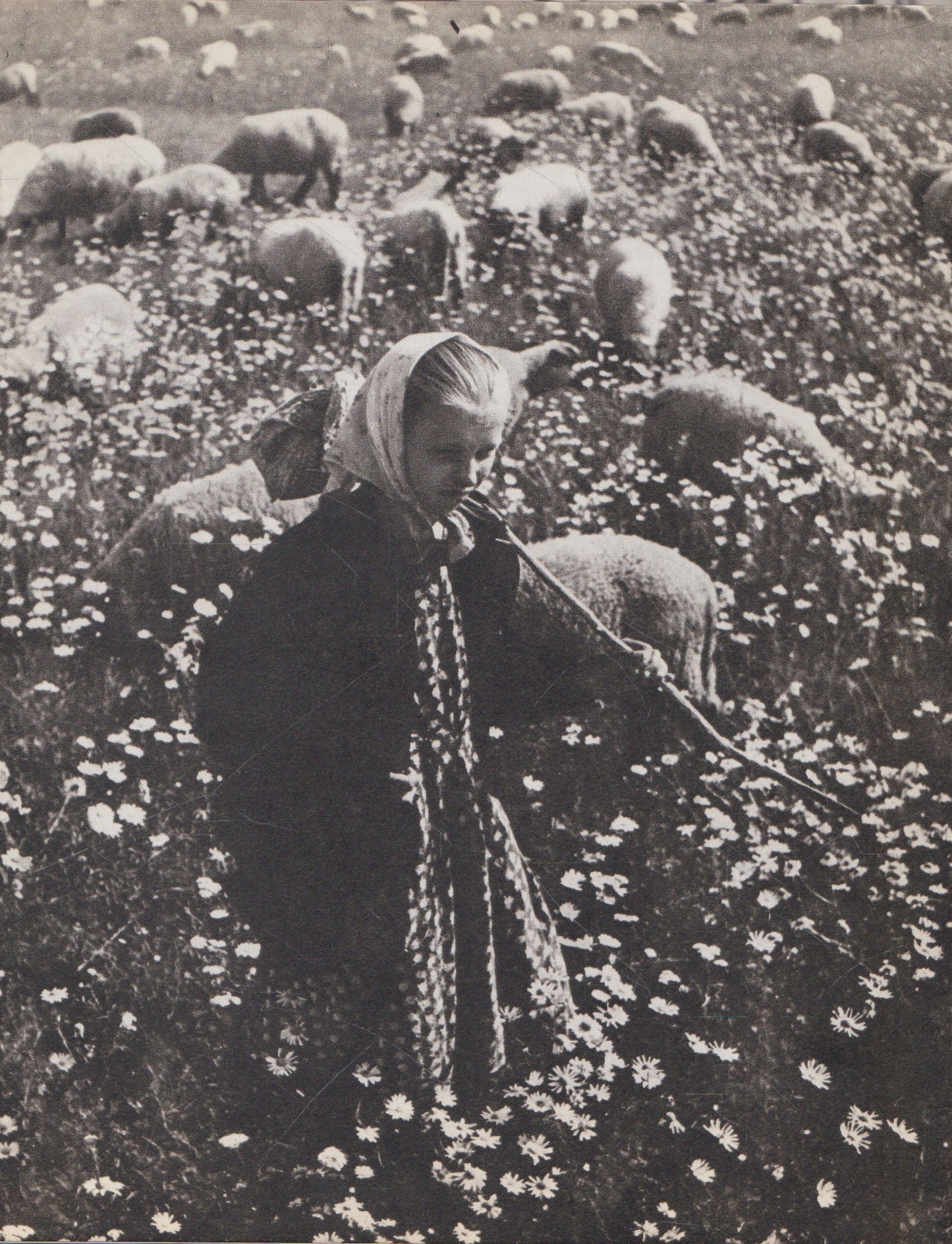 Lietuva - 69, fotoalbumas