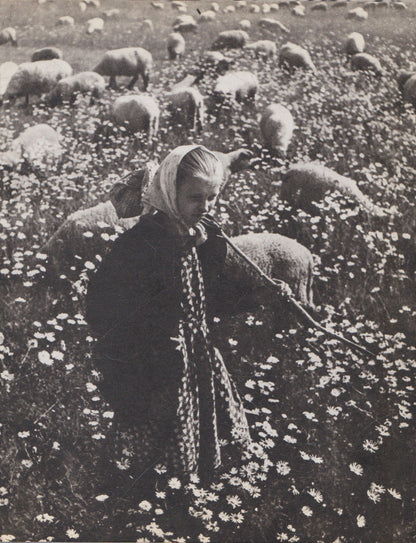 Lietuva - 69, fotoalbumas