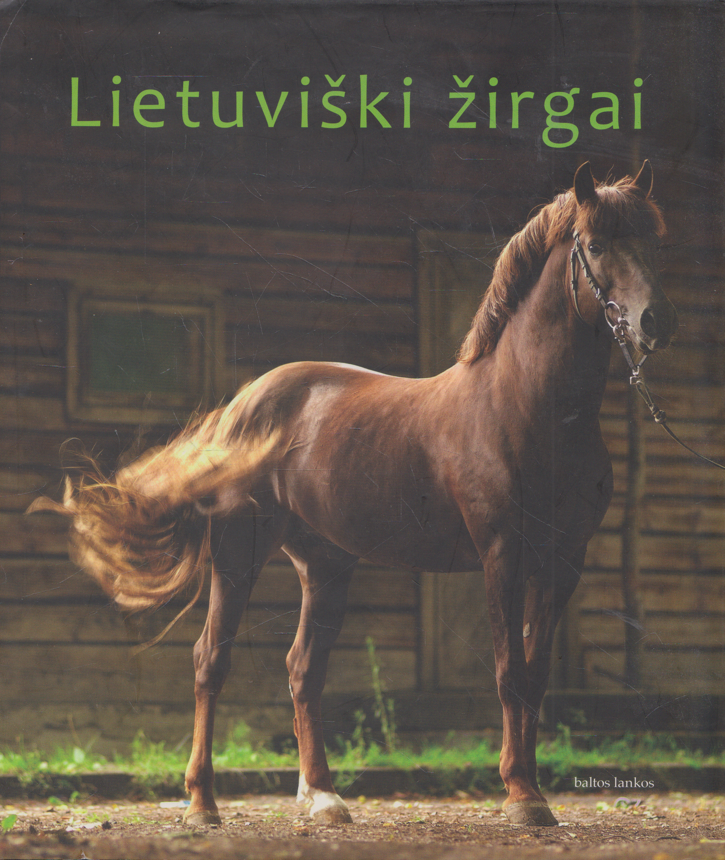 Lietuviški Žirgai