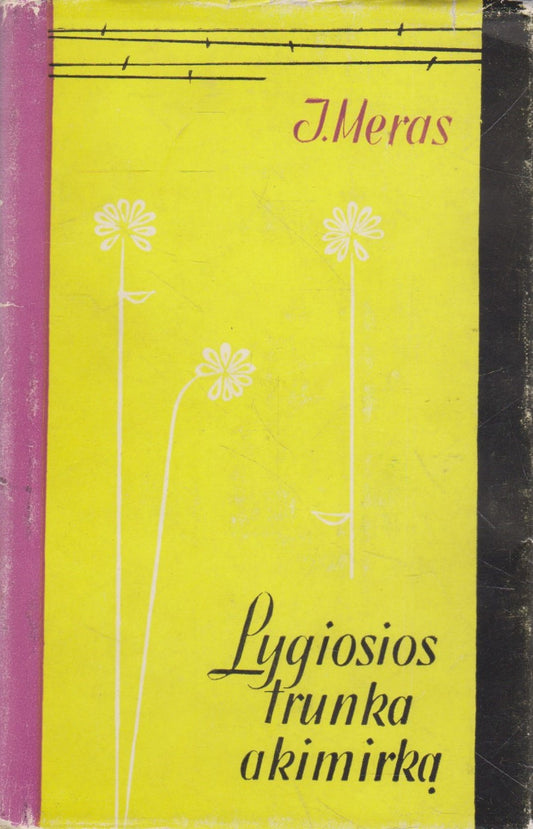 I. Meras - Lygiosios trunka akimirką