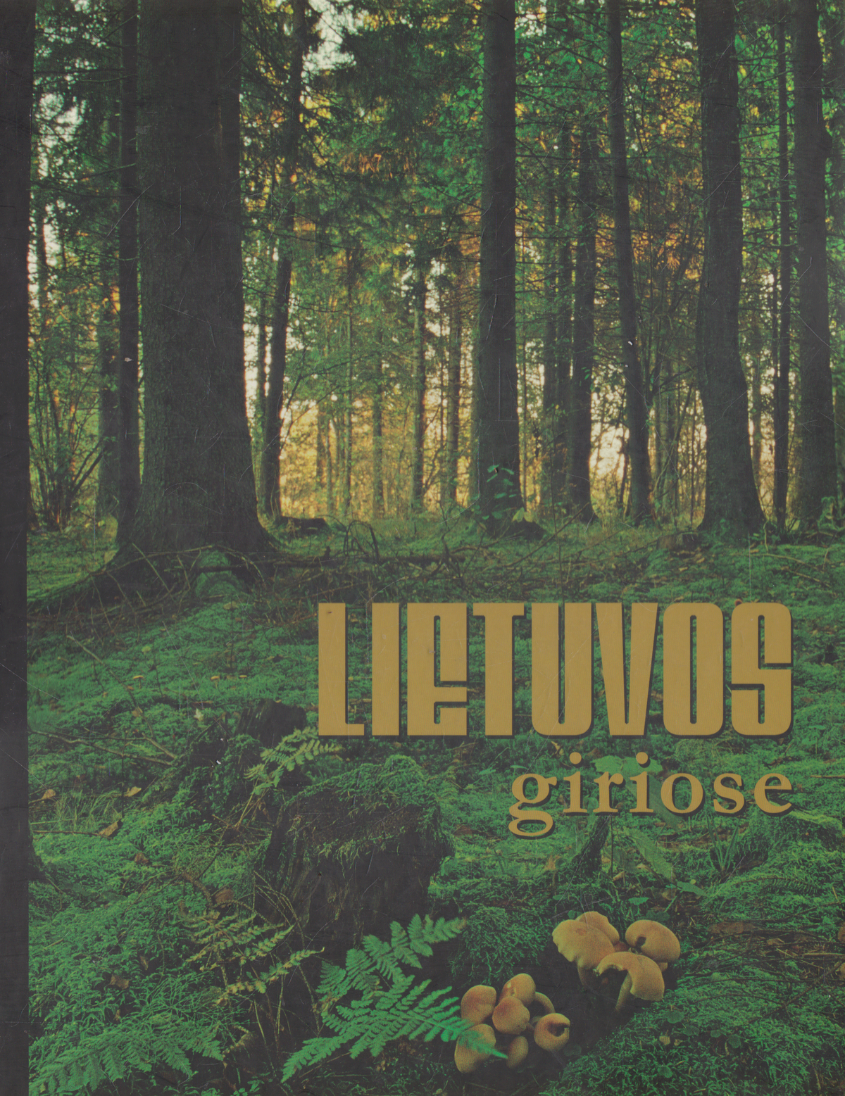 Lietuvos giriose