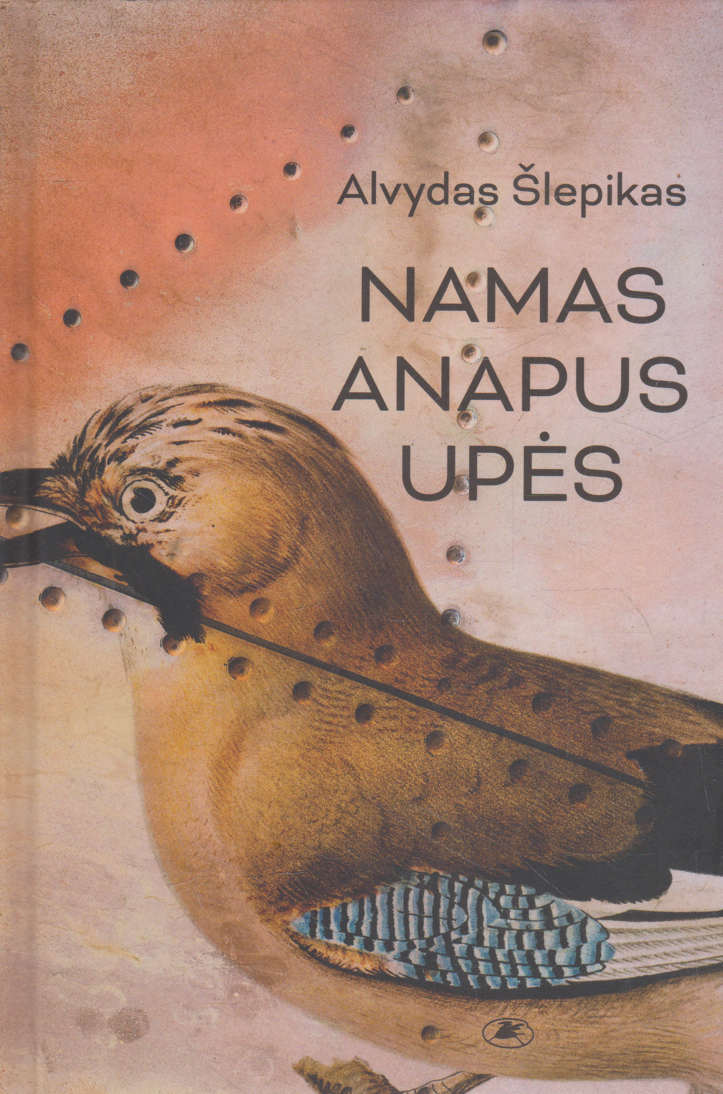 Alvydas Šlepikas - Namas anapus upės