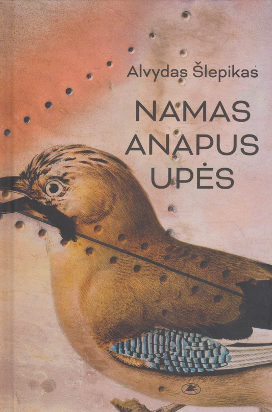 Alvydas Šlepikas - Namas anapus upės