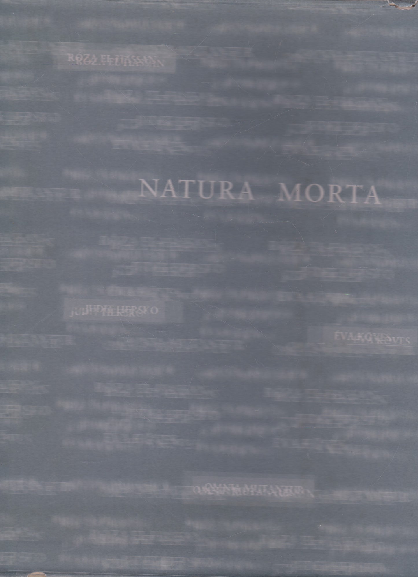 Natura Morta - Padiglione d'Ungheria / Hungarian Pavillon 1997 (check condition)