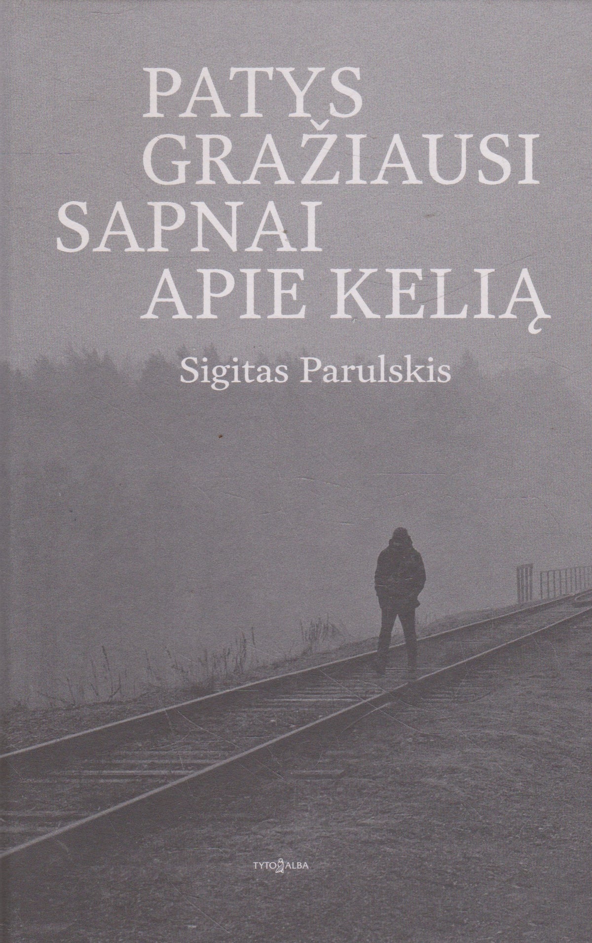 S. Parulskis - Patys gražiausi sapnai apie kelią
