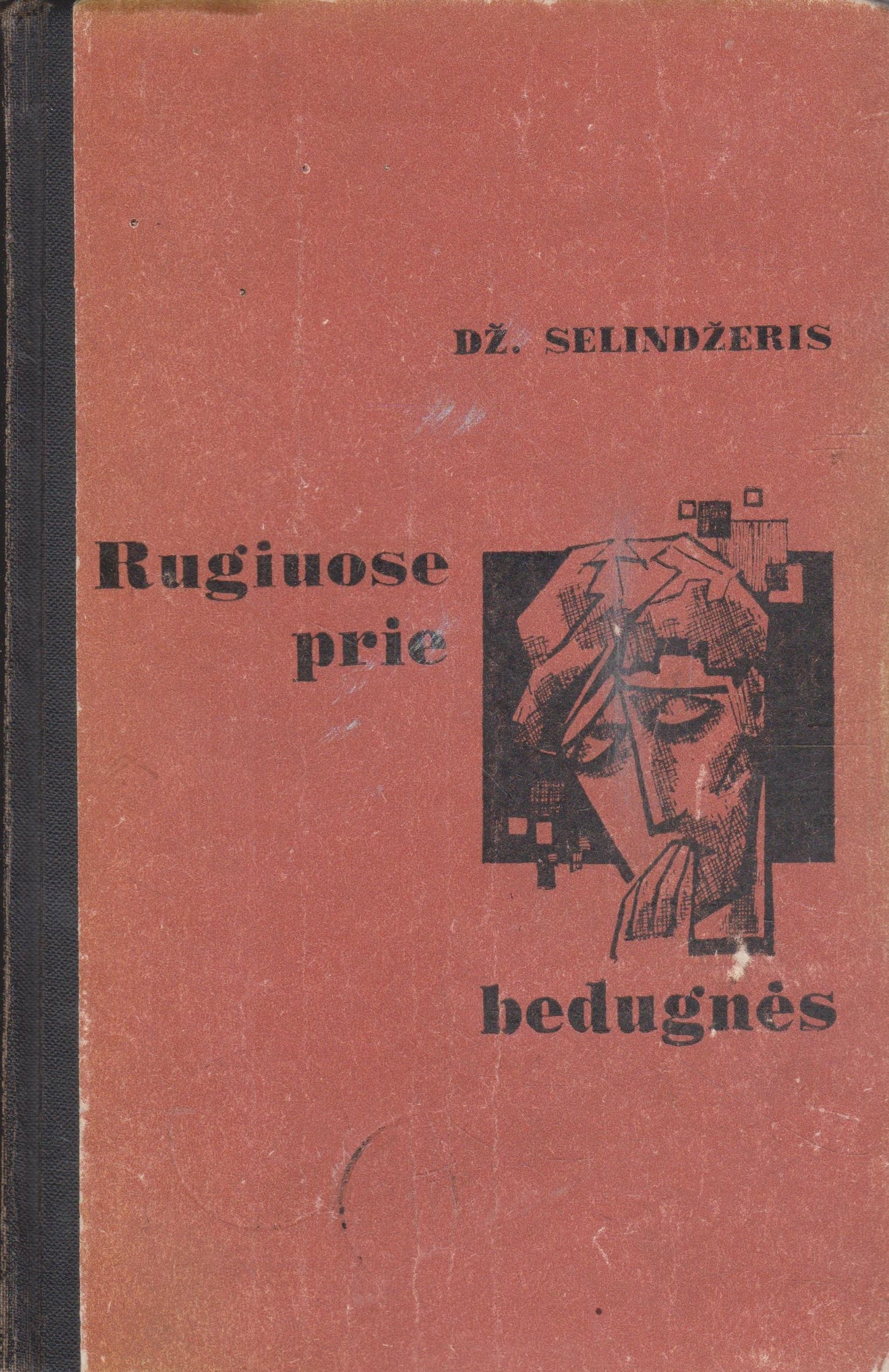 Dž. Selindžeris - Rugiuose prie bedugnės (žr. būklę)