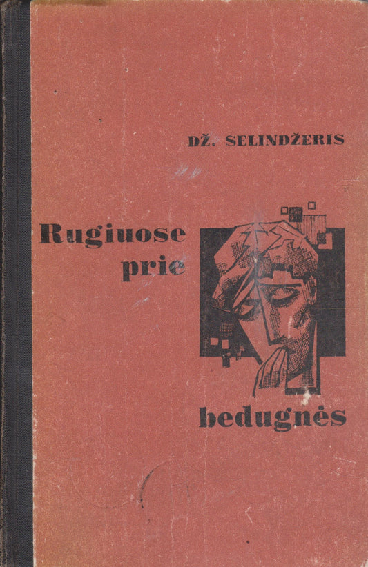 Dž. Selindžeris - Rugiuose prie bedugnės (žr. būklę)