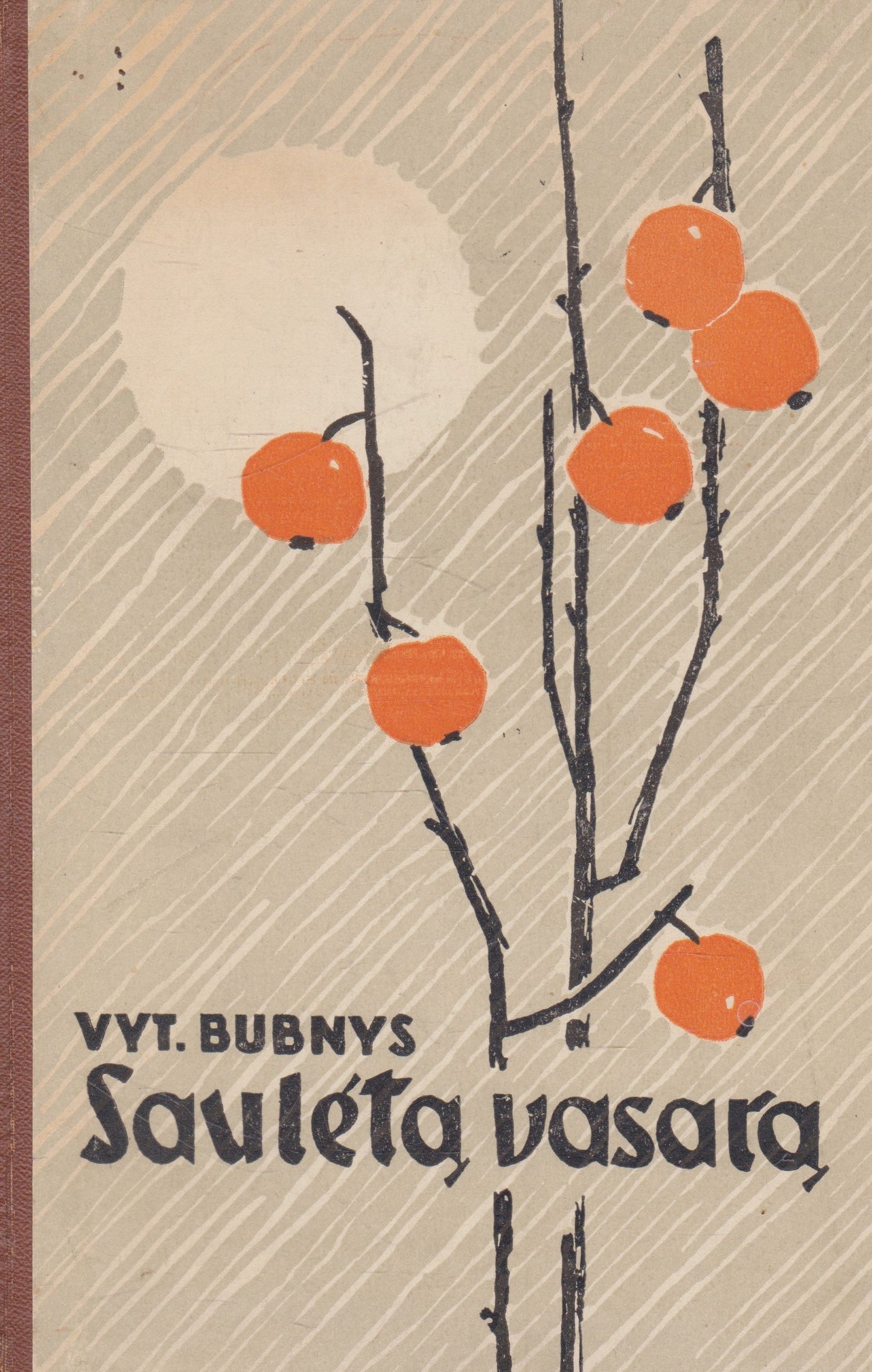 Vyt. Bubnys - Saulėtą vasarą (su aut. dedikacija)
