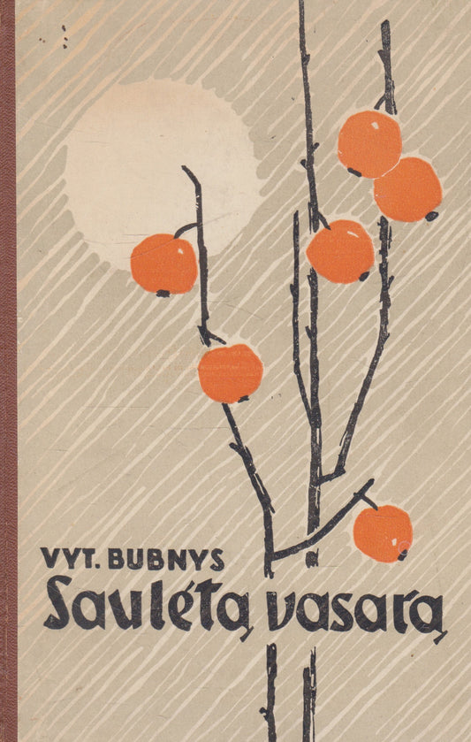 Vyt. Bubnys - Saulėtą vasarą (su aut. dedikacija)