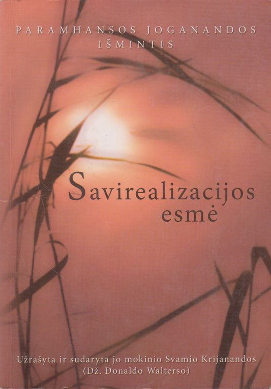 Savirealizacijos esmė (žr. būklę)