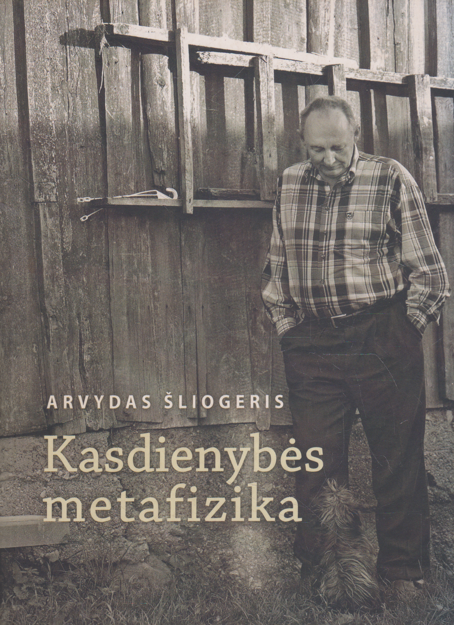 Alvydas Šliogeris - Kasdienybės metafizika