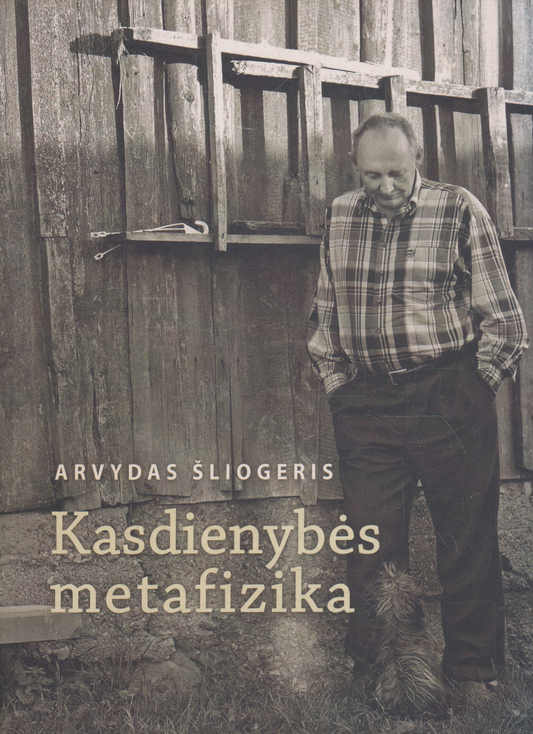 Alvydas Šliogeris - Kasdienybės metafizika