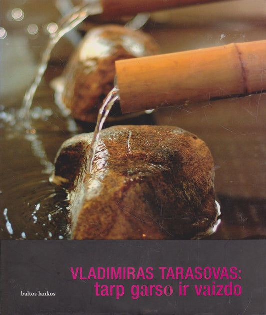 Vladimiras Tarasovas: tarp garso ir vaizdo
