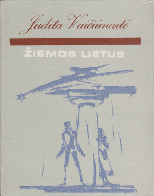 Judita Vaičiūnaitė - Žiemos lietus