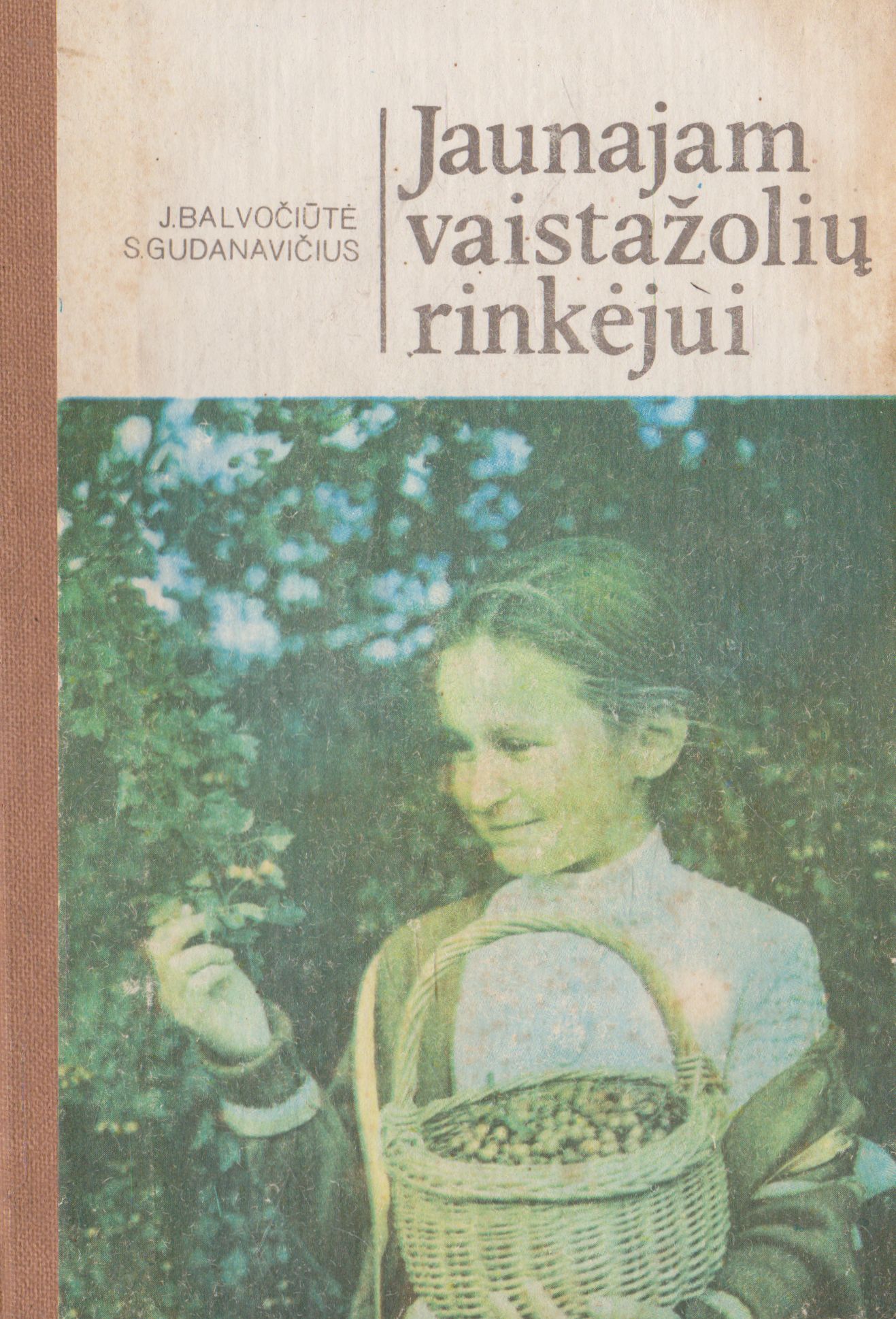 J. Balvočiūtė, S. Gudanavičius - Jaunajam vaistažolių rinkėjui (žr. būklę)