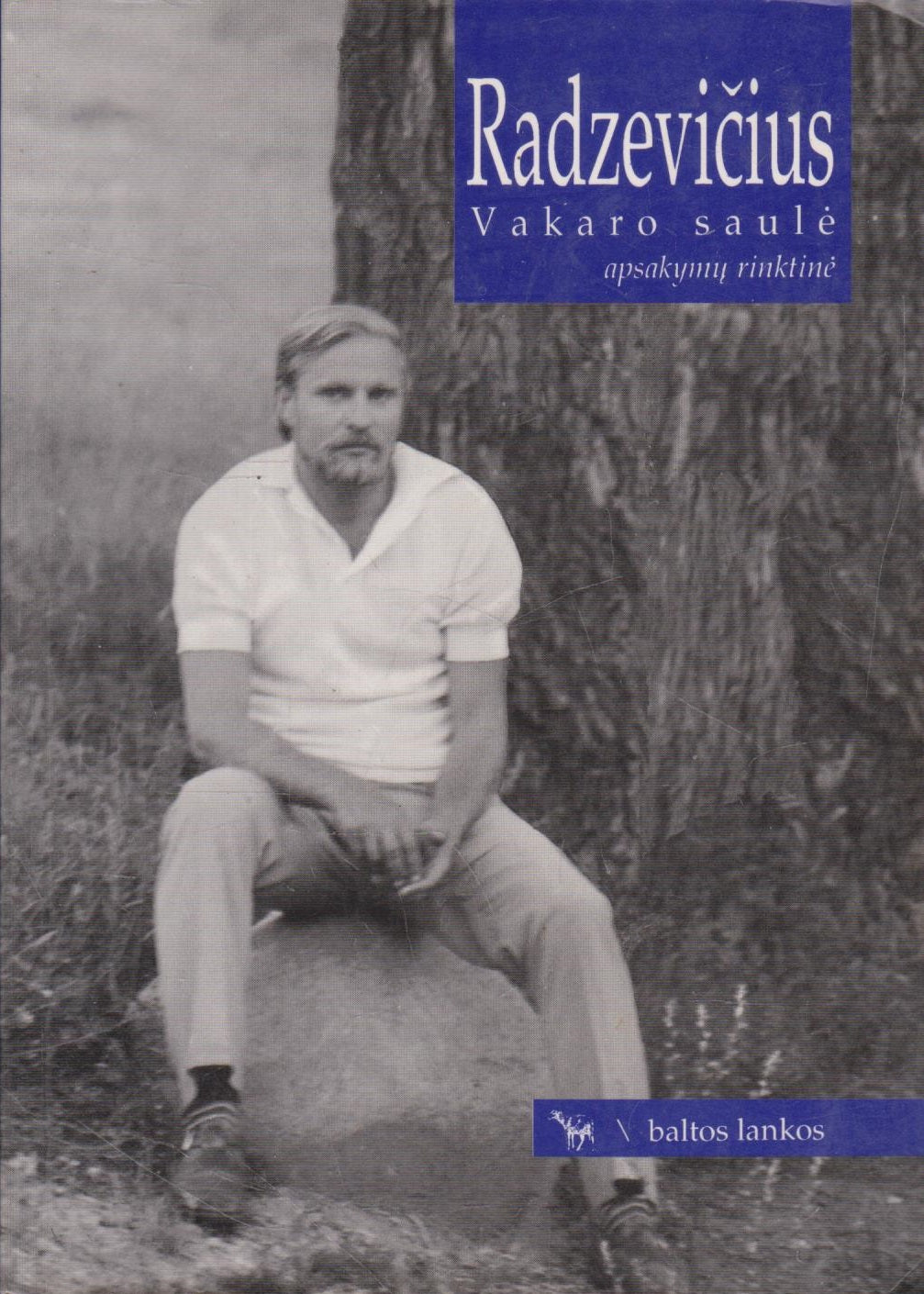Bronius Radzevičius - Vakaro saulė (žr. būklę)