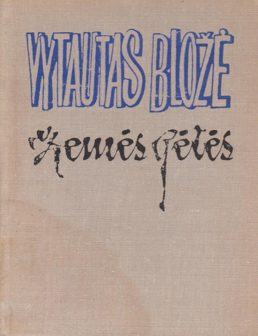Vytautas Bložė - Žemės gėlės (žr. būklę)