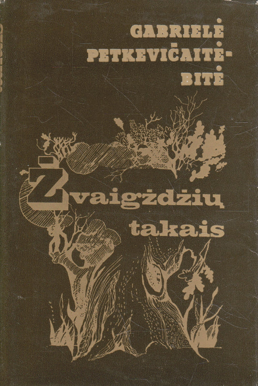 G. Petkevičaitė-Bitė - Žvaigždžių takais