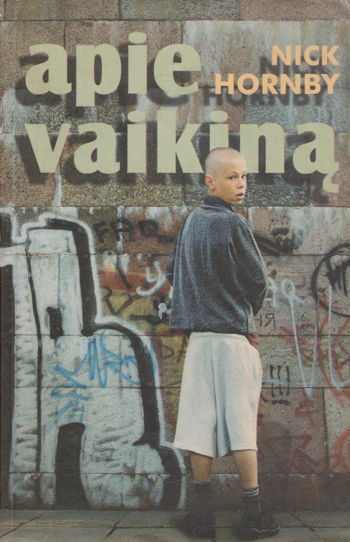 Nick Hornby - Apie vaikiną