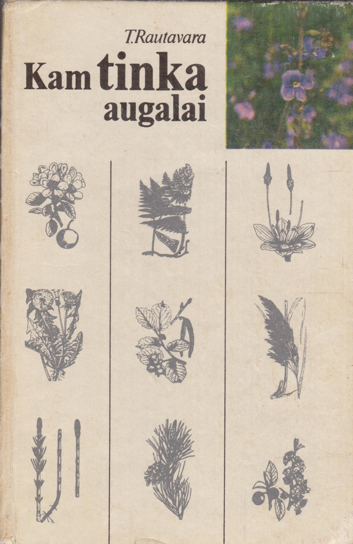 T. Rautavara - Kam tinka augalai?