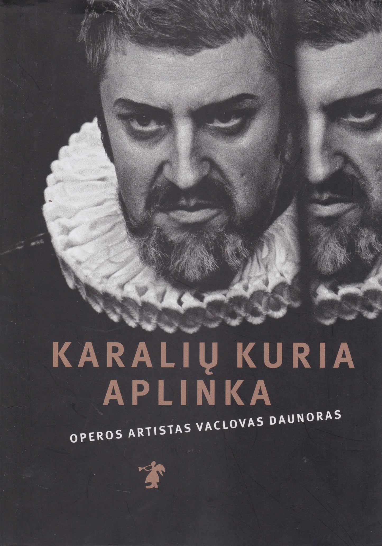 Karalių kuria aplinka