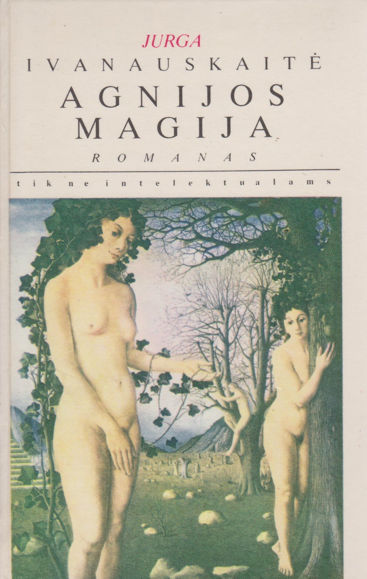 Jurga Ivanauskaitė - Agnijos magija