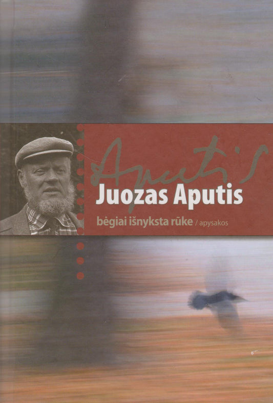 Juozas Aputis - Bėgiai išnyksta rūke (žr. būklę)