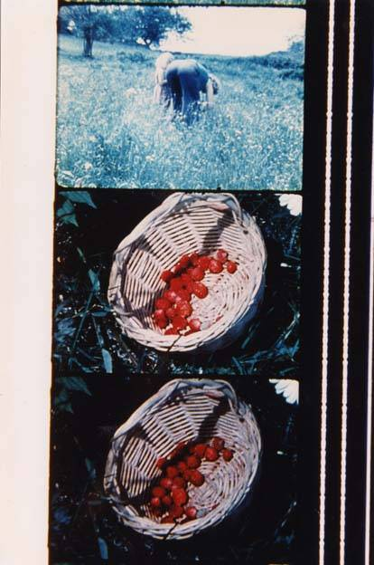 Jonas Mekas - Conversations, Letters, Notes, Misc. Pieces etc.