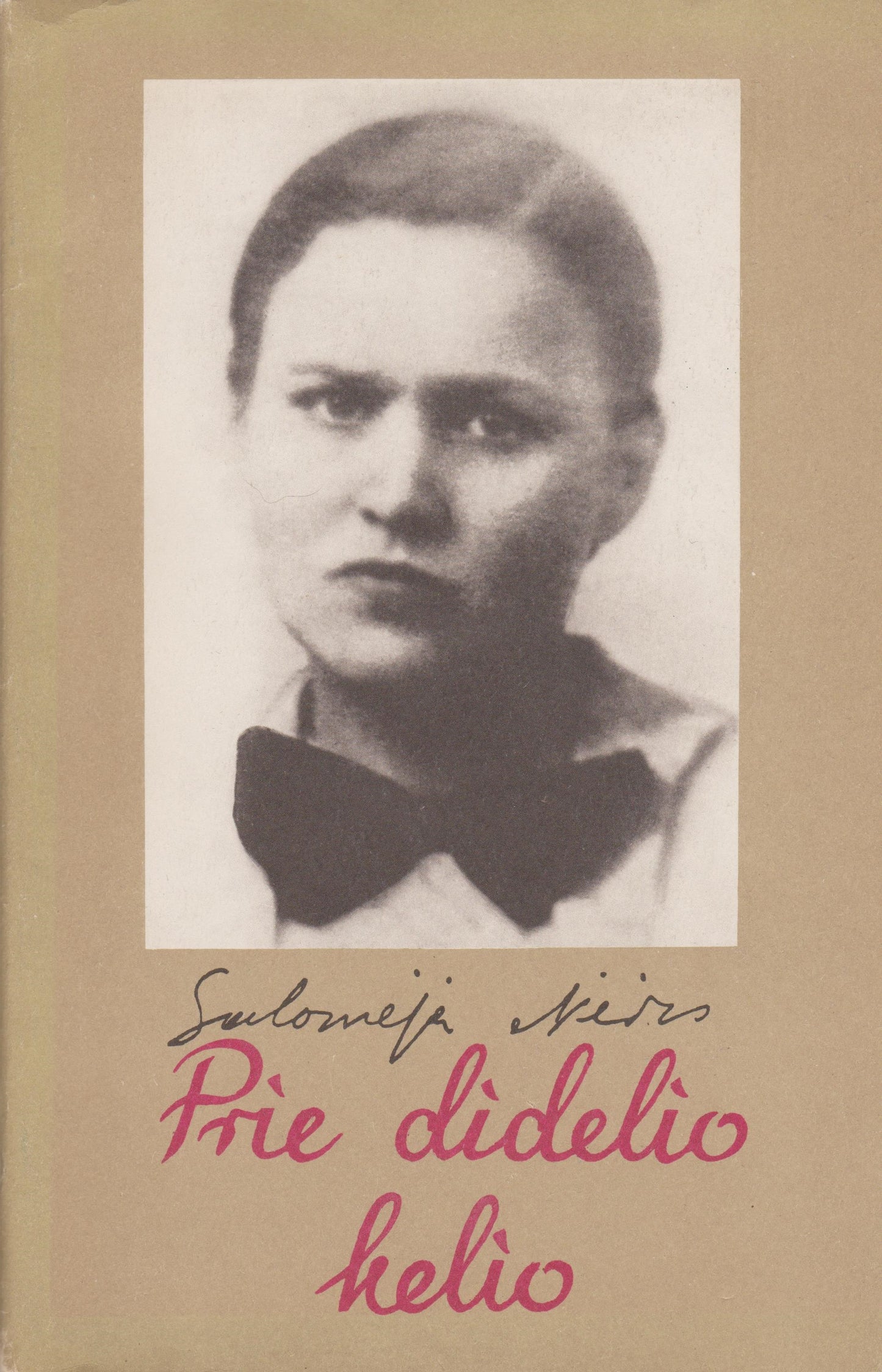 Salomėja Nėris - Prie didelio kelio