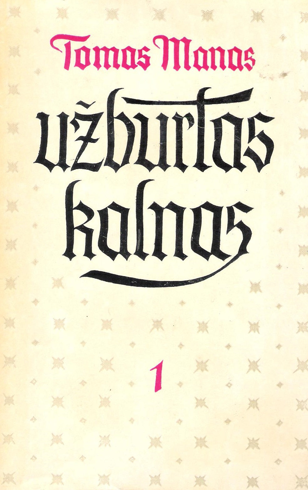 Tomas Manas - Užburtas kalnas (2 knygos)
